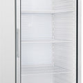Kühlschrank - 570 Liter - 1-türig - Glastür